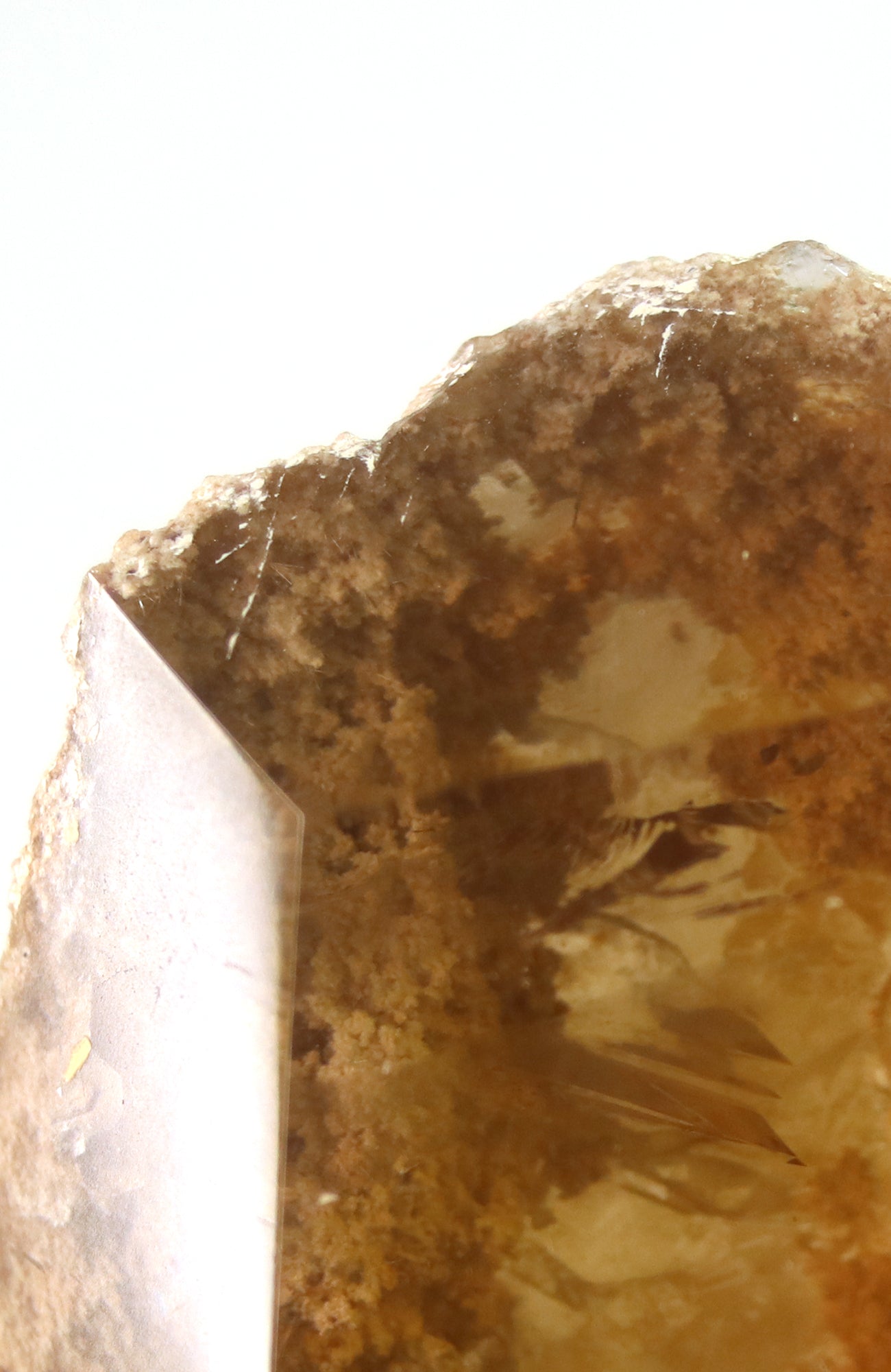 Lodalite Quartz Freeform Generator